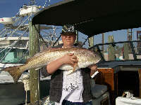 Nice Big Redfish
