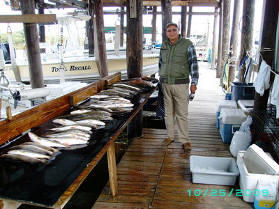 Fish ready for the knife