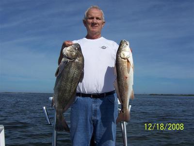 Redfish and black drum