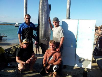 A 133 kg Striped Marlin
