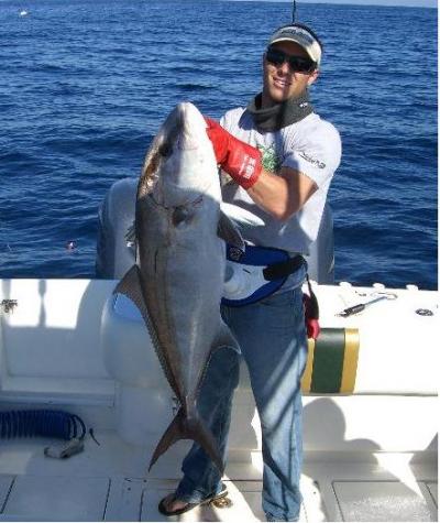 Amberjack