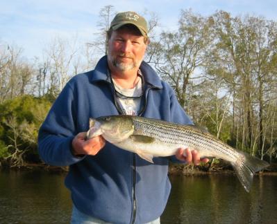 an 8 pound New Bern striper