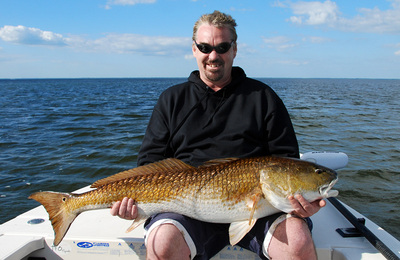 A trophy Mosquito Lagoon redfish