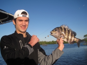 16-inch sheepshead
