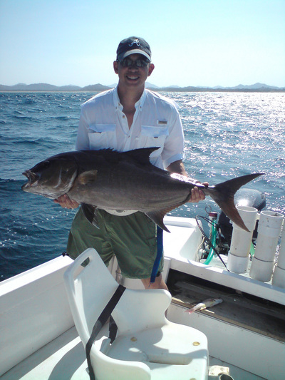 NIce 30 lb. amberjack