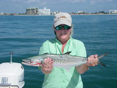 Mackerel caught just off of the beach