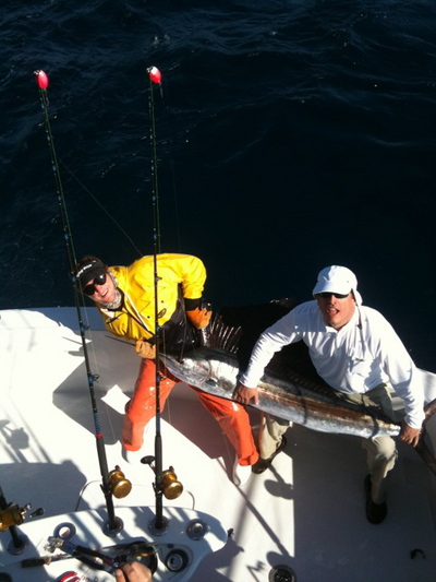 Sailfish on the CUTTING EDGE