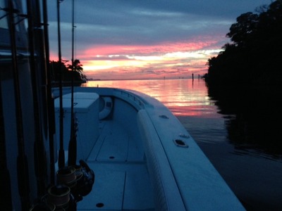 Best Time of the Year