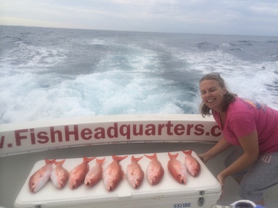 Lots of vermillion snappers in a line