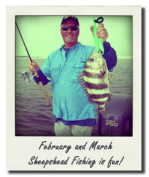 Sheepshead Fishing is starting to pick up.