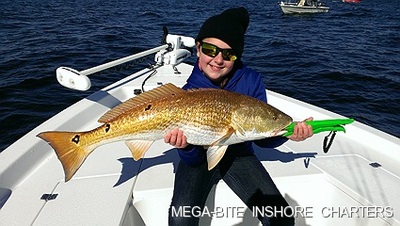 It's red fish mania time!