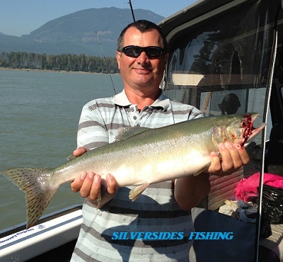 Pink salmon are so easy to limit out on!