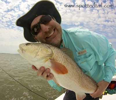 Mosquito Lagoon redfish