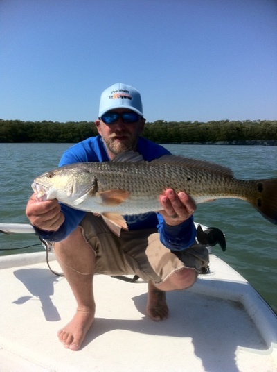 Tampa Redfish