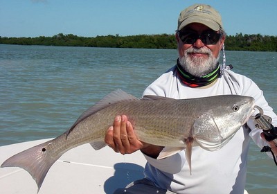 Redfish
