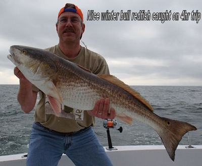 Another big bull redfish caught near Gulf Shores, Alabama