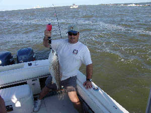 redfish at the jetties