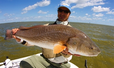 Mosquito Lagoon redfish. Note dirty water.