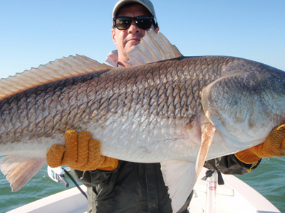 bull redfish orlando
