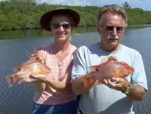 hogfish pair