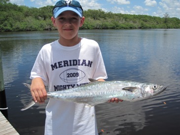 28-inch king mackerel