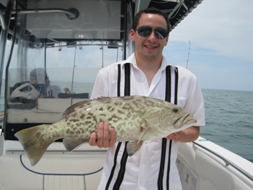 26-inch gag grouper, released