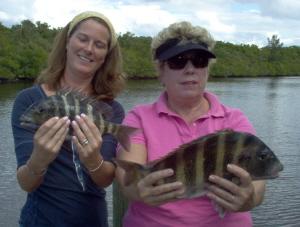 sheepshead