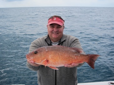 19-inch mangrove snapper