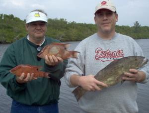pair of hogfish and a 24 inch gag grouper
