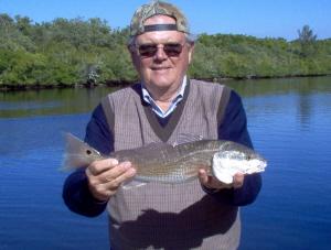 20 inch redfish on live shrimp-Estero Bay, SW FL