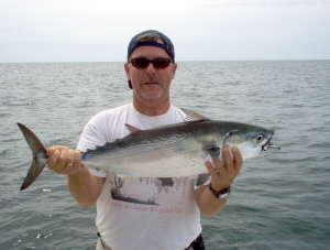 10-pound bonito