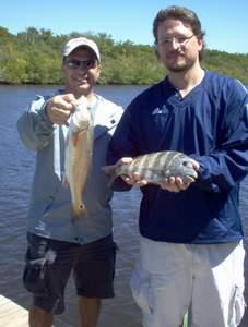 16 inch sheepshead and 18 1/2 inch redfish