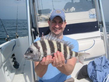 16-inch sheepshead