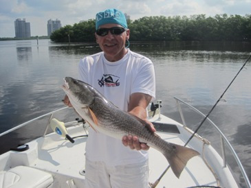 25 1/2 inch redfish