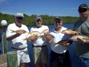 mess of yellowtail snapper