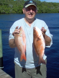 17 inch mutton snapper & 18 inch mangrove snapper