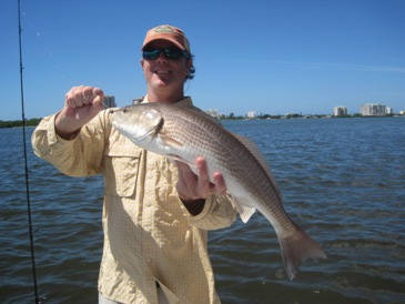 24.5-inch redfish