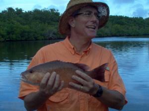 18 1/2 inch mangrove snapper