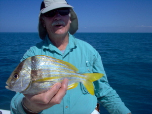 porkfish