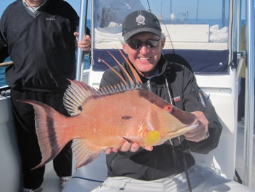 17-inch hogfish