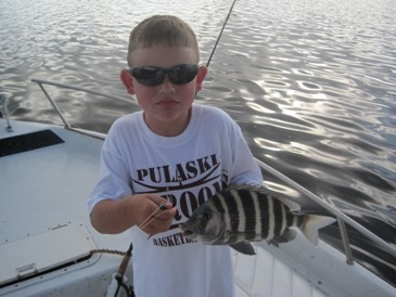 13-inch sheepshead