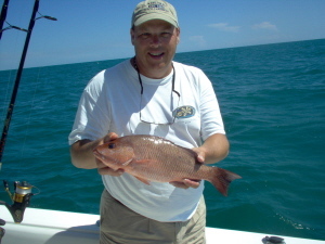 19.5 inch mangrove snapper