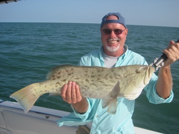 29-inch, 13-pound gag grouper