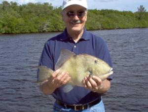 17 inch triggerfish
