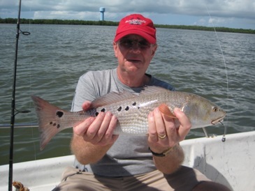 20-5 inch redfish