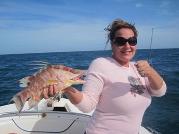 17-inch hogfish