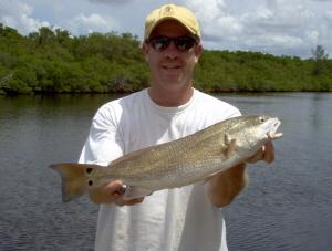 20 inch redfish on live shrimp-Estero Bay, SW FL
