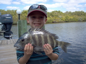 17.5 inch sheepshead