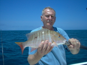 19 inch mutton snapper