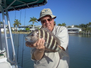 19 inch sheepshead
